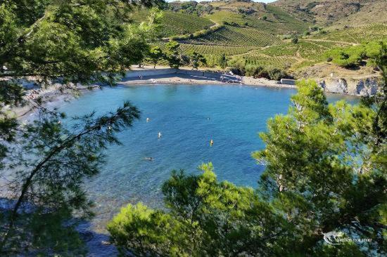 Appart Coeur De Village - Proche Des Criques Port Vendres Eksteriør bilde